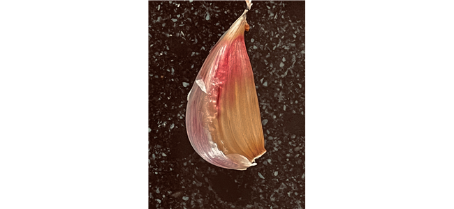 knoflook bij actieve artritis